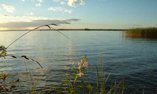 Utsikt över en stor sjö med blått vatten Sjön heter Storsjön och ligger i Sandvikens kommun i Gästrikland. I förgrunden syns vass och grässtrån på land. Himmeln är klar och solig med några vita moln. Bilden ger ett intryck av lugn och harmoni.