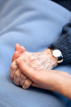 An old handing holding a young hand.  Shallow depth of field with focus on the hands.