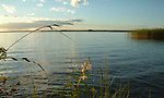 Utsikt över en stor sjö med blått vatten Sjön heter Storsjön och ligger i Sandvikens kommun i Gästrikland. I förgrunden syns vass och grässtrån på land. Himmeln är klar och solig med några vita moln. Bilden ger ett intryck av lugn och harmoni.