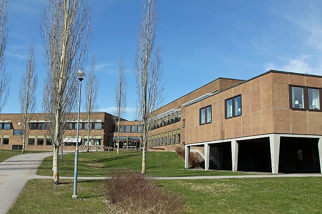 Hedängsskolan ligger i en tvåvåningsbyggnad med ljusbrun fasad. Framför byggnaden finns en gräsplan med träd och en asfalterad gångbana.