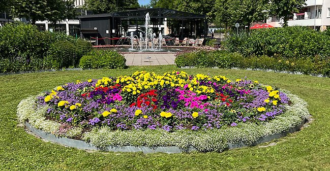 2024 års blomsterfontän i Jansasparken med temat Solen.