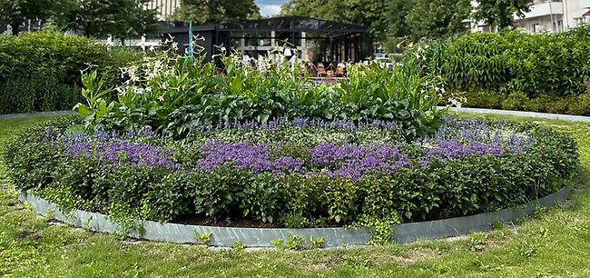 2023 års blomsterfontän i Jansasparken med tema Storsjön
