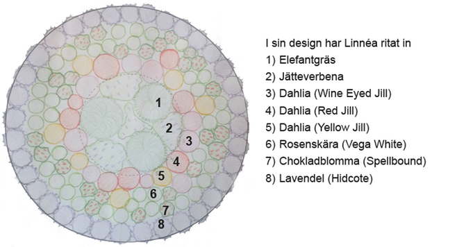 Designritning av blomsterfontänen i Jansasparken 2019.